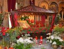 grec hellene cargese grec hellene cargese