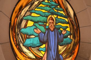 maronite maronite