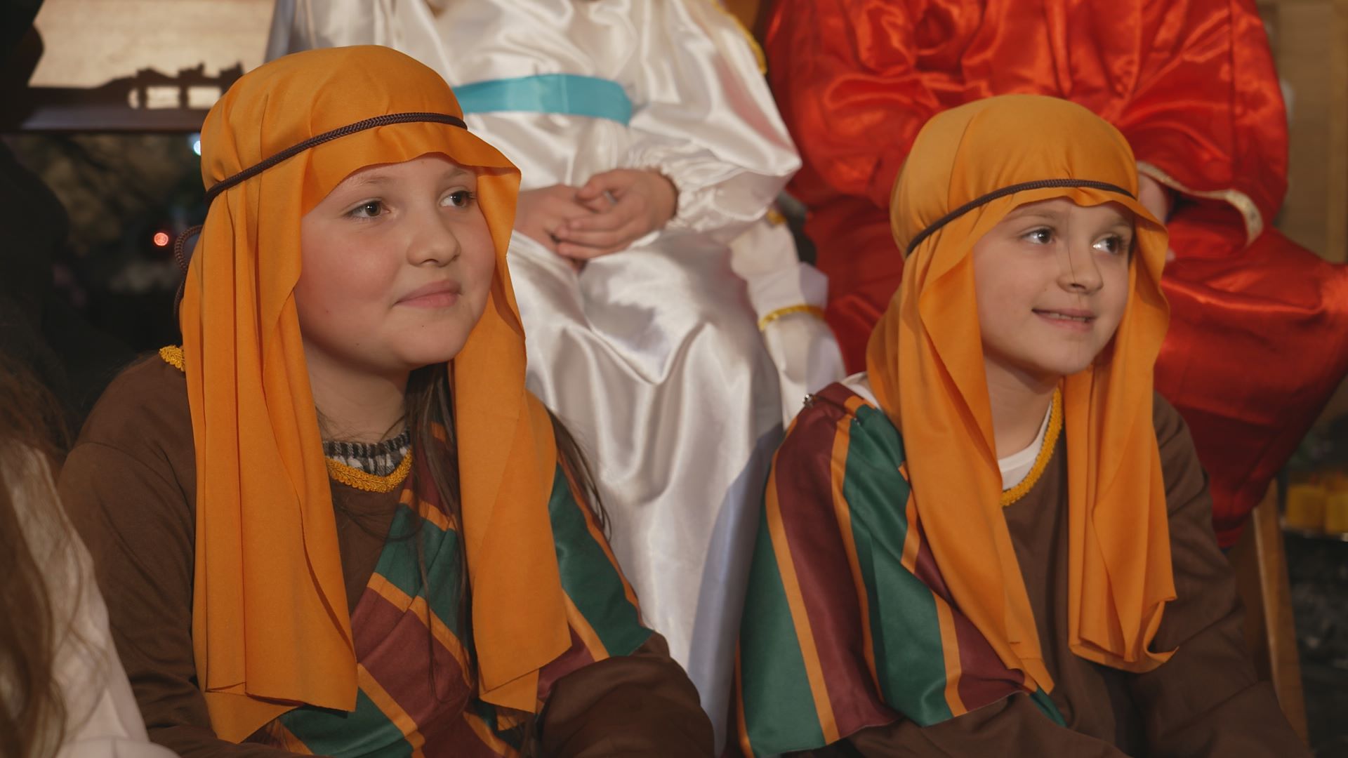 bergers roumains  bdef 3